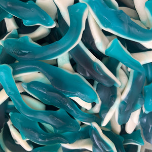 Large Blue Sharks