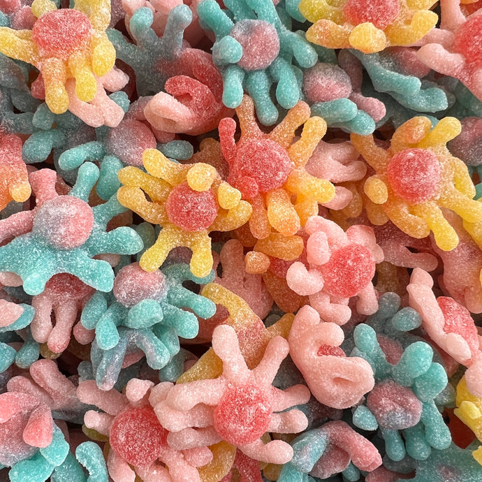 Fizzy Octopus