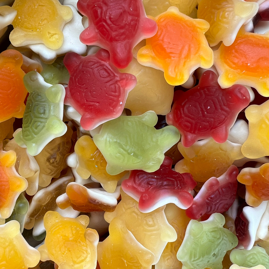 Large Gummi Turtles